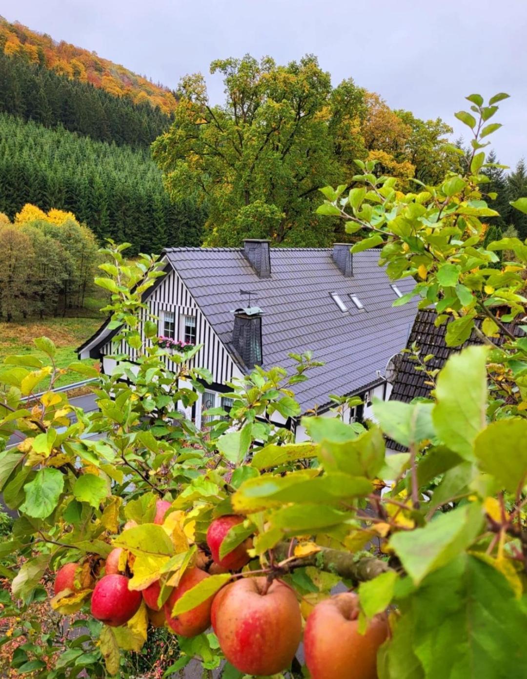 Ferienwohnung Krähling Schmallenberg Exterior foto